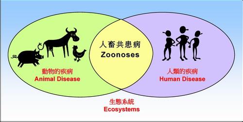 人畜共患病 人畜共患病-名称演变，人畜共患病-传播途径