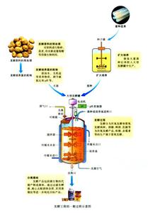 应用生物科学专业 应用生物科学专业-培养目标，应用生物科学专业