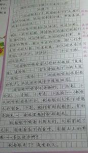 学校的景物作文300字 校园景物作文400字