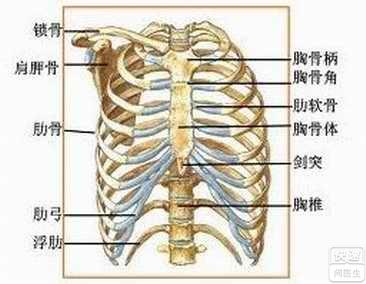 肋软骨炎症状 肋软骨炎 肋软骨炎-概述，肋软骨炎-症状