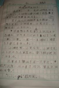 小动物的作文250字 小动物运动会作文250字