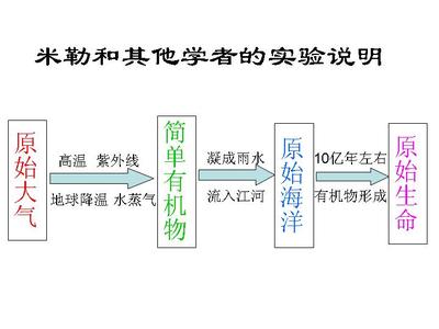 辩证唯物主义 辩证唯物主义-概述，辩证唯物主义-起源发展