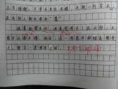 关于意外的作文800字 关于意外的作文