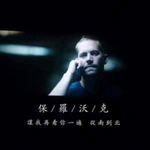 paulwalker paulwalker-信息，paulwalker-简介