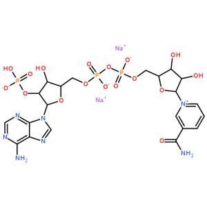 烟酰胺腺嘌呤二核苷酸 烟酰胺腺嘌呤二核苷酸-名称，烟酰胺腺嘌呤