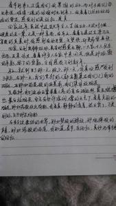 美好的愿望作文600字 美好的愿望作文400字