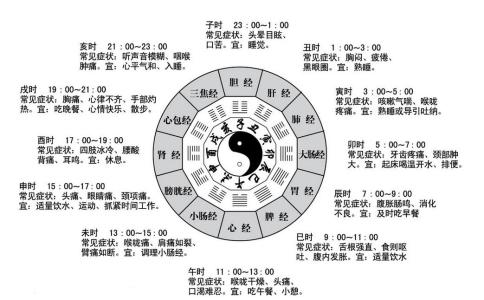 十二时辰对照五脏养生 十二时辰养生法