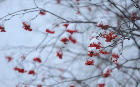 立冬节气 立冬节气有效预防感冒