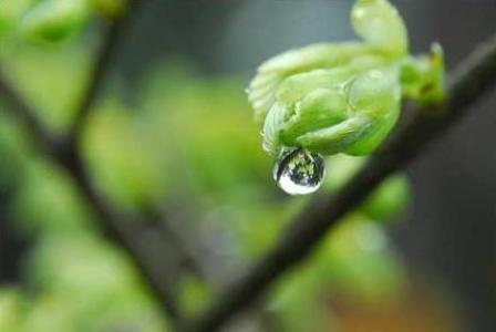 养脾 雨水应该多养脾 当心“倒春寒”