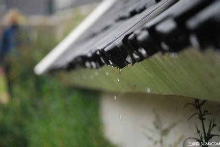 雨水节气养生粥 雨水节气怎么养生