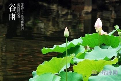 谷雨养生 谷雨养生要注意的三要素