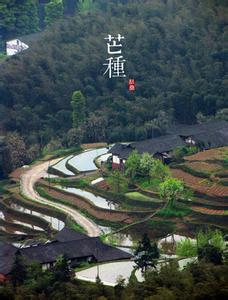 芒种节气养生 芒种节气养生谨防疾病入侵