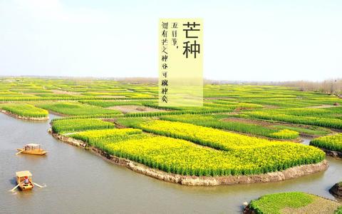 芒种养生食谱 芒种养生