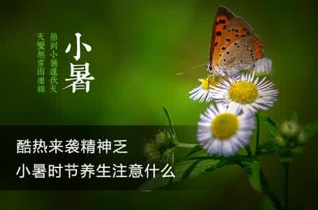 小暑养生注意事项 小暑养生要注意什么