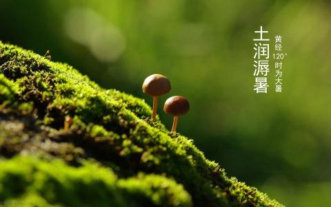 大暑喝粥汤防暑 大暑防暑降温的11个小窍门