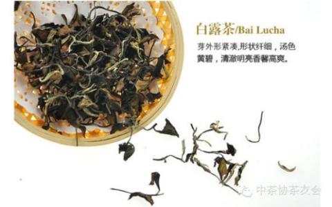 白露茶的作用 白露茶