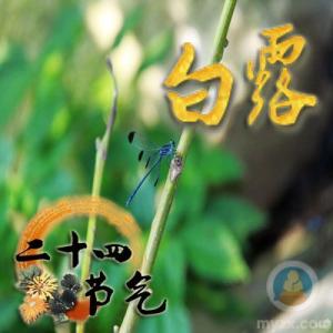 白露时节 白露时节养生须做到“六防”