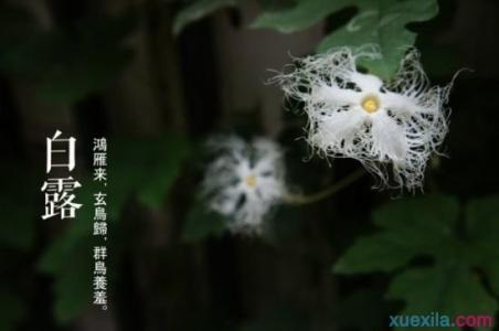 白露时节 白露时节怎么养生