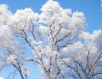 汉方初白 霜降・汉方