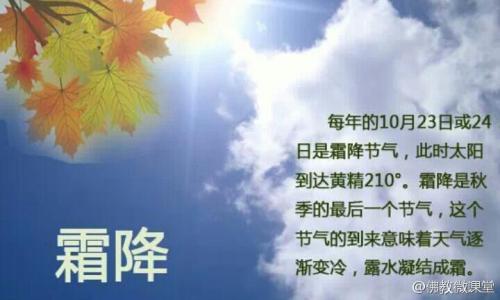 又一年霜降 一年补透透不如补霜降是什么意思