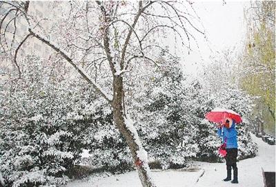 飘然而至 大雪时节飘然而至要做到“七宜”