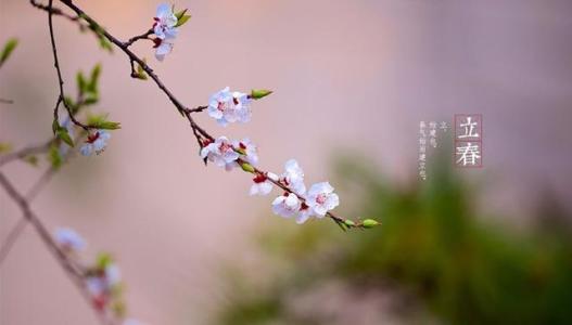 立春如何护肝 立春时节如何护肝