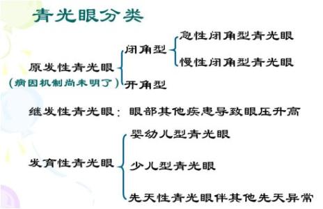 青光眼的分类 青光眼的种类