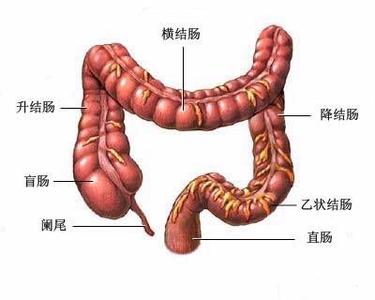 结直肠癌预防 预防结直肠癌三字诀