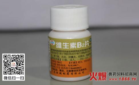 吃维生素b2对皮肤好吗 维生素B2功效