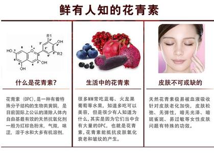 红丝线的功效与作用 黑枸杞的功效与作用有哪些