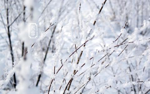 大寒节气吃什么 大雪节气吃什么