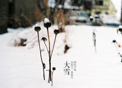 大雪节气吃什么 “大雪” 节气吃什么好