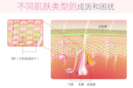 远看高低各不同 毛孔细致 不同类型各不同