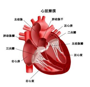 身体经常不同部位疼痛 身体7个部位需要不同的营养