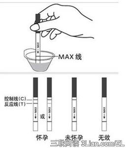 验孕棒怎么测试 验孕棒测试怎么使用