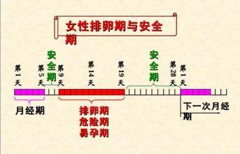 安全期避孕的方法图 安全期的避孕方法