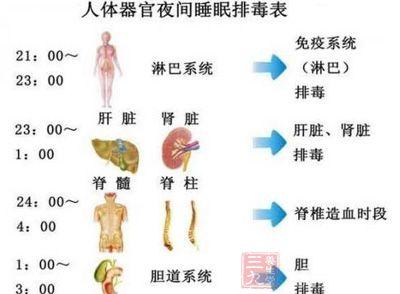 晚上睡觉排毒时间表 身体最佳排毒时间表