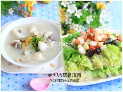 孕中期营养食谱 怀孕中期的营养食谱怎么做