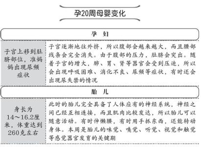 孕中期阴道炎 孕中期阴道炎的预防