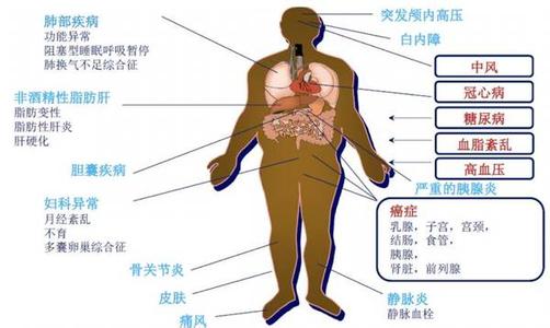 肾脏不好的症状 十个症状暗示肾脏危险