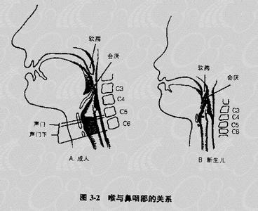 声乐入门正确发声方法 声乐的发声原理与方法