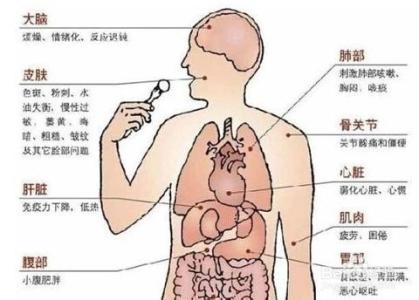 排出体内毒素 哪些方法能排出体内毒素