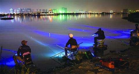 夏季夜钓技巧 夏季夜钓小技巧