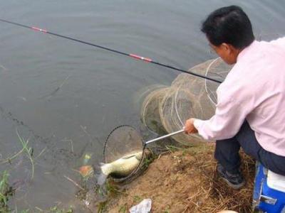 小钩细线钓大鱼 小钩细线钓大鱼怎样遛鱼