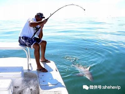 崛起2黑暗水域 夏天如何在陌生水域钓大鱼