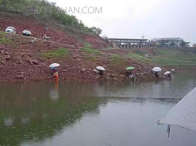 星露谷物语下雨天钓鱼 哪些下雨天不适合钓鱼