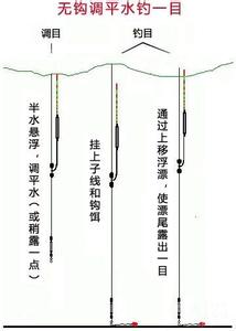 流水急的地方怎么钓鱼 流水与钓鱼的关系