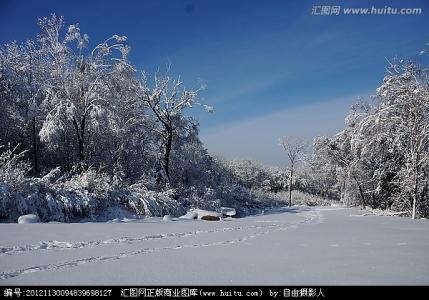 雪地烤红薯 阅读答案 玉树荒野的雪地阅读答案