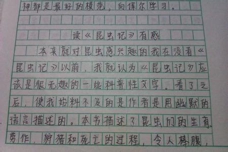 感动中国观后感600字 感动中国2015观后感作文600字