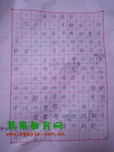 过新年优秀作文 新年作文300字【优秀作文】五篇